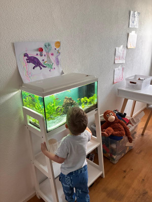 Aquarium